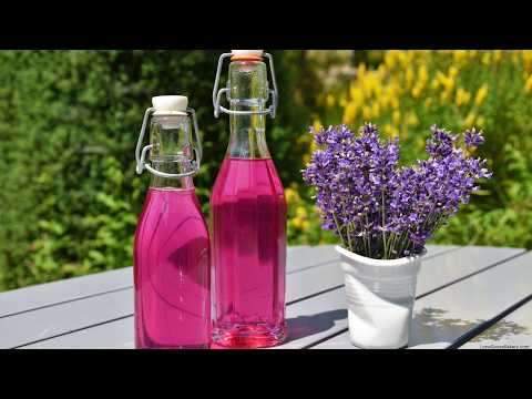 Homemade Lavender Syrup | The Secret to Coffee Shop-Quality Drinks!