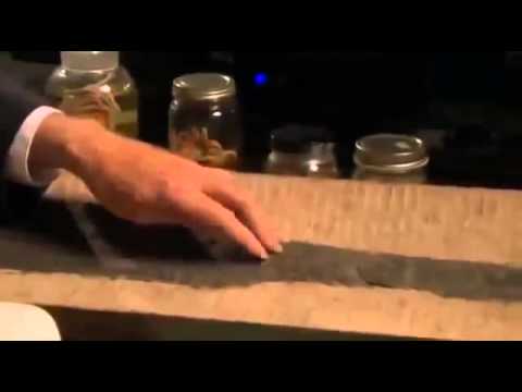 Prehistoric Assassins: Blood in the Water