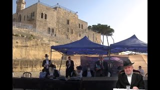 דברי סנגוריא מליבו הטהור של מרן שליט"א