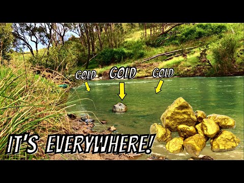 The GOLD is EVERYWHERE on this Bedrock! | How much Gold using only Gold Pan