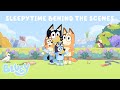 Behind The Scenes of Bluey! | Sleepytime | Bluey