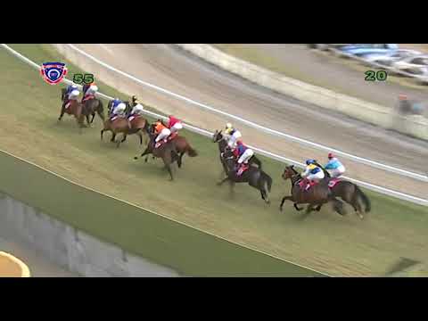 Hippisme – 5e journée (5e course) : Et de deux pour Duke's Domain