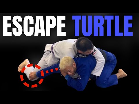 Turtle Position Jiu Jitsu Instructionals – Attacks, Breakdowns, and ...