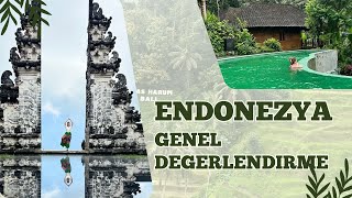 ENDONEZYA BALİ'YE  GELMEYİ DÜŞÜNÜYORSAN MUTLAKA İZLE ! Ulaşım, Fiyatlar, Ubud, C