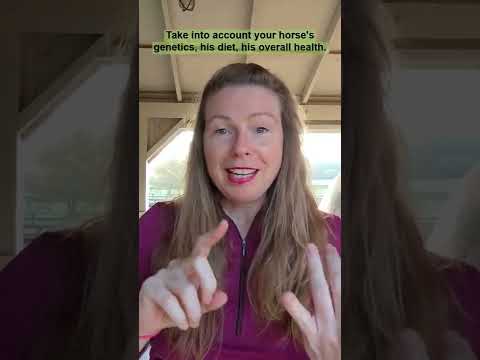 Horse Hoof Care: Barefoot vs. Shod