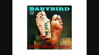 Babybird - CFC