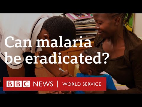 Could a vaccine get rid of malaria for good?