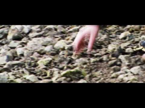 Farizeo - Farizeo - Pravdu hľadám márne