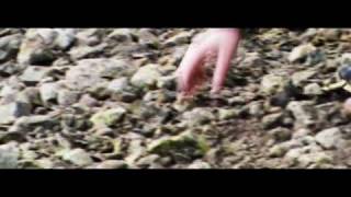 Farizeo - Pravdu hľadám márne