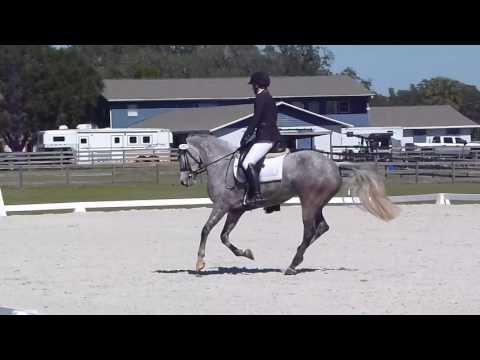 2017 Rocking Horse Winter II (Elisa Wallace & Hwin)