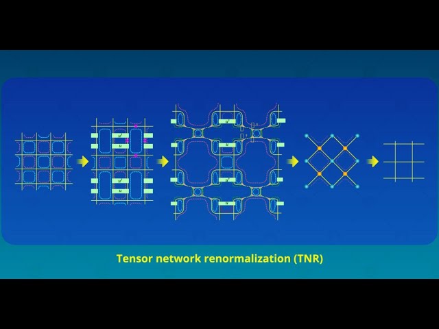 Tensor Networks Across Physics