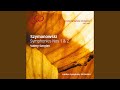 Symphony No. 2 in B-Flat Major, Op. 19: I. Allegro Moderato. Grazioso