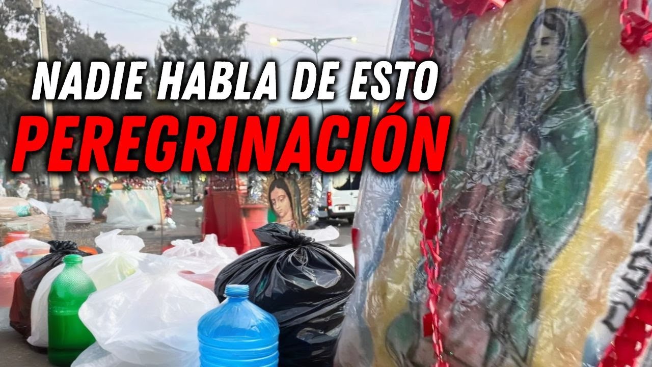 ¿Por qué NADIE habla de los PERROS ABANDONADOS en la PEREGRINACIÓN de la VIRGEN de GUADALUPE?