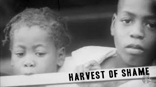 Harvest Of Shame (1960)
