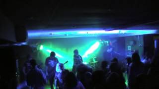 Video Starej apatykář (live)