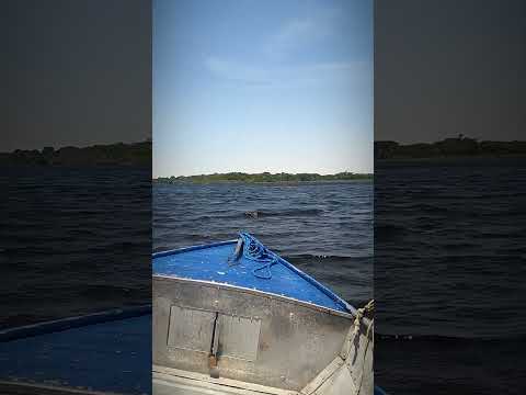 VOCÊ CONHECE BETÂNIA?