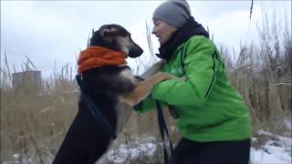 Стэнли на прогулке