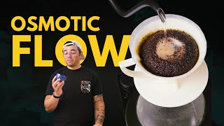 I Swore I'd Never Make This Video: Osmotic Flow V60 Recipe