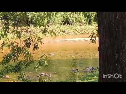 A orillas del río Panaholma, en Cura Brochero, Traslasierras, Córdoba, Argentina.#curabrochero