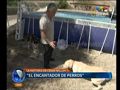 La historia de César Millán -Telefe Noticias