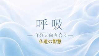【リラックスBGM】呼吸/自分と向き合う※ 呼吸法は説明文に