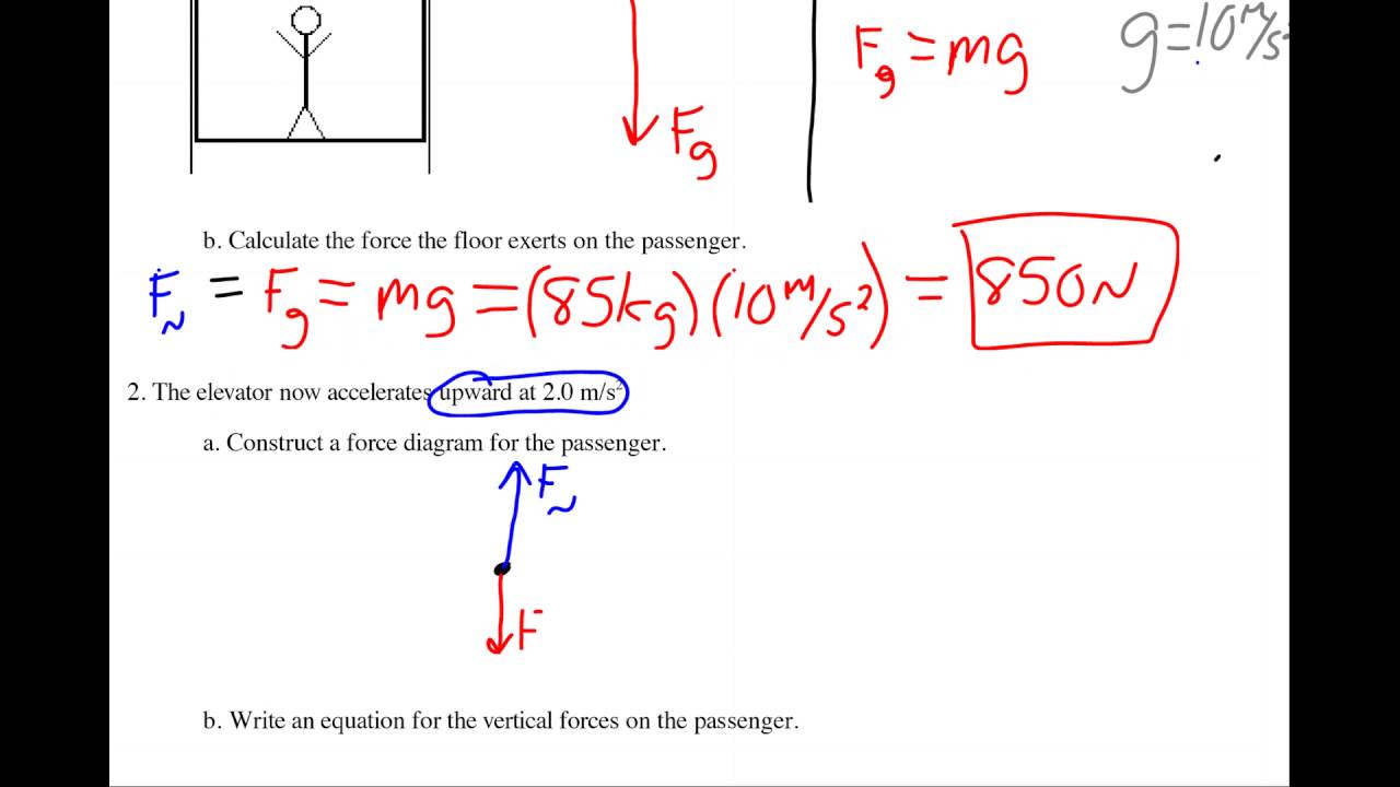 NetForce Worksheet Part 1