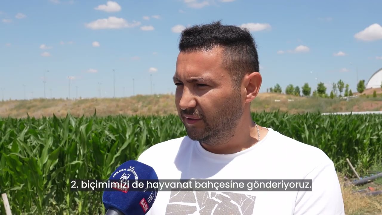 ATA ÇİFTLİĞİ’NİN YONCALARI ATATÜRK ÇOCUKLARI DOĞAL YAŞAM PARKI SAKİNLERİNE ULAŞTIRILDI
