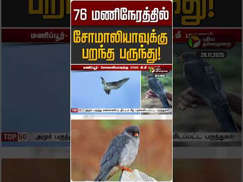 76 மணிநேரத்தில் சோமாலியாவுக்கு பறந்த பருந்து! | Manipur to Somalia | Amur Falcon