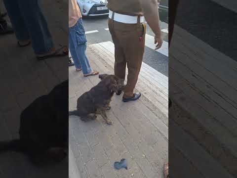 They Deserve All The Love ❤️ | Otara Gunewardene