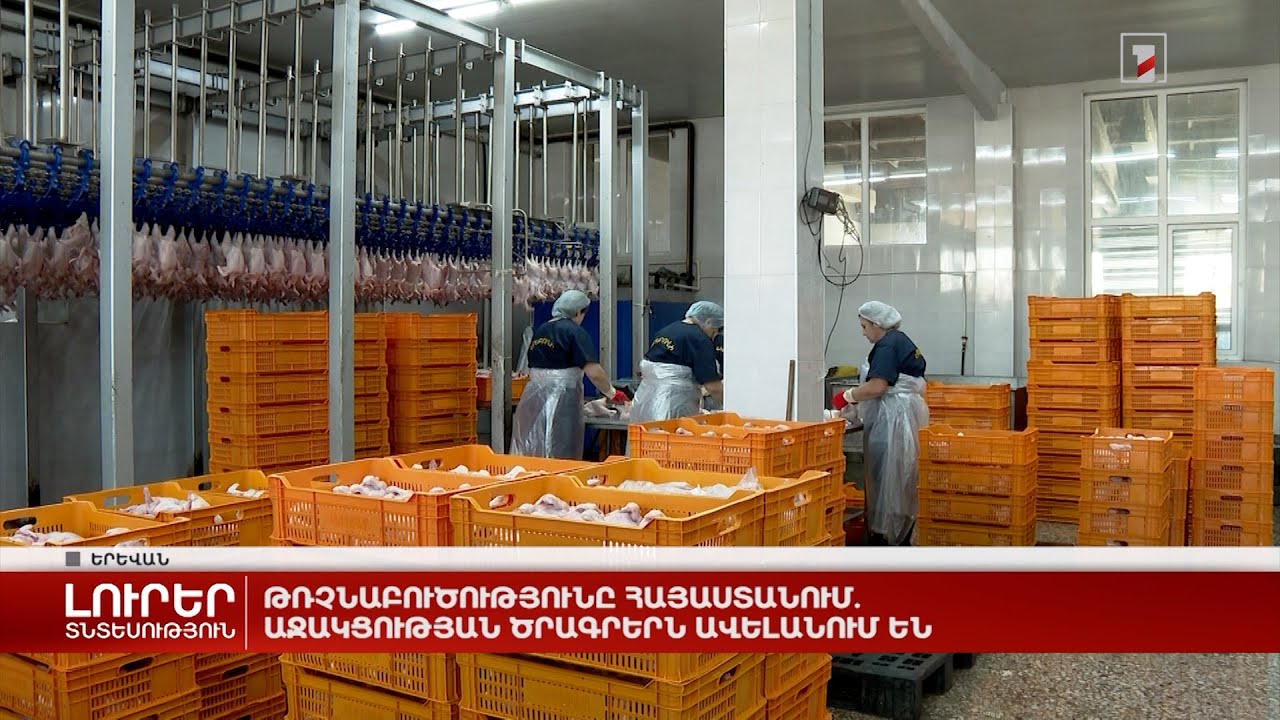 Թռչնաբուծությունը Հայաստանում. աջակցության ծրագրերն ավելանում են