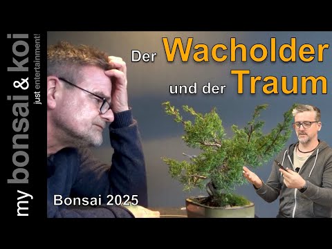 Bonsai 2025-10 - Juniperus - the juniper and the dream!