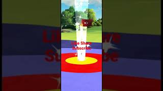 GOLDEN SHOT HOLE IN ONE