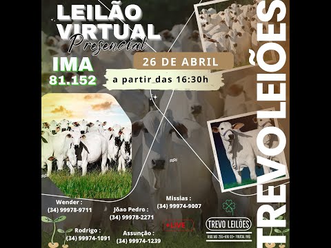 Leilão Presencial e Virtual  na Trevo Leilões, FRUTAL-MG - Dia 26/04/2024