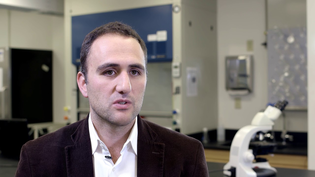 Bioelectronic and Bioprotonic Devices