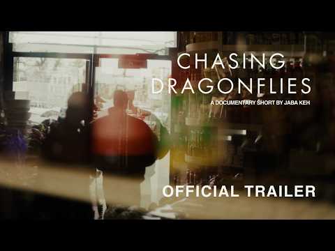 Tráiler de Chasing Dragonflies
