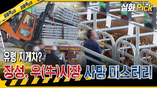 Download lagu [실화Pick] 엇갈린 진술, 누군가는 거짓말을 하고 있다? #실화탐사대 #실화On MBC260917방송 mp3