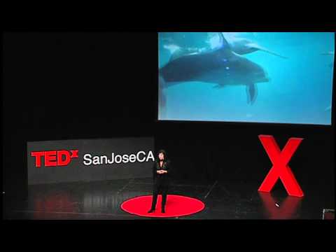 Thinking dolphin: Diana Reiss at TEDxSanJoseCA 2012