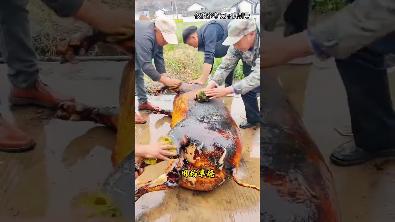 真是百闻不如一见，原来云南杀猪的方式，竟然如此清新脱俗#奇闻趣事 #科普 #每天一个科普小知识