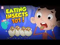 All About Insects Bugs For Kids The Dr Binocs Show Peekaboo Kidz
