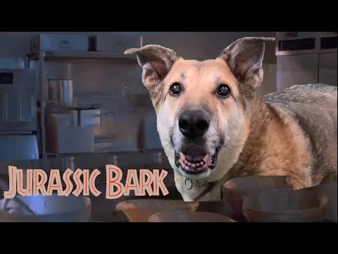 Jurassic Bark -- starring Hunny the Dog