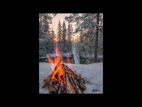 [FREE] “bonfire” lil skele x guardin type beat | midwest emo instrumental