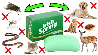 How To Get Rid of Pests Using Irish Spring Soap -MICE, FLIES, MOSQUITOES, DEER, BEDBUGS, SNAKES, etc