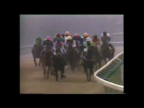 Better Loosen Up 1990 Japan Cup 2400M Tokyo Racecourse Fuchu Japan