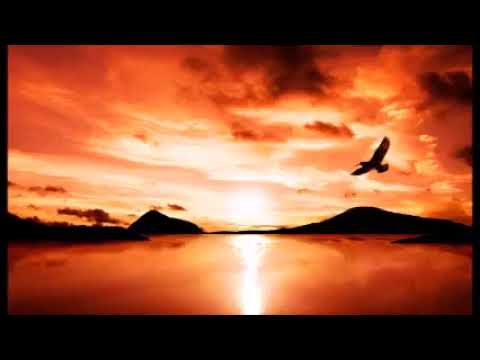 Livres para amar e servir