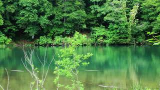 連合国司令 のライブ配信