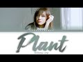 SEJEONG 세정 – Plant 화분 Lyrics Color Coded Han/Rom/Eng SEJEONG 세정 – Plant 화분 Lyrics Color Coded Han/Rom/Eng