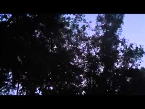 download lagu mp3 mp4 Png Sound, download mp3 Png Sound free download mp3, download mp3 Png Sound