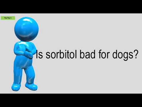 Is sorbitol safe for dogs