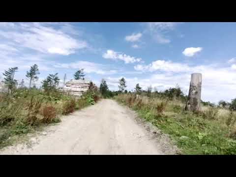 E MTB Tour auf dem Eggeweg.  Reelsen - Preußische Velmerstot und zurück.  15.08.2021