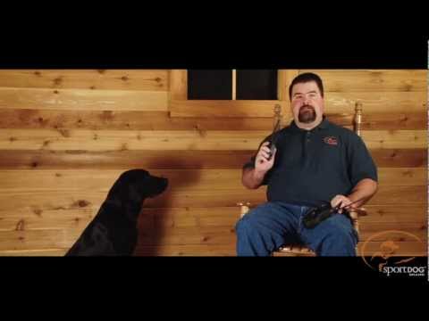 sportdog training video